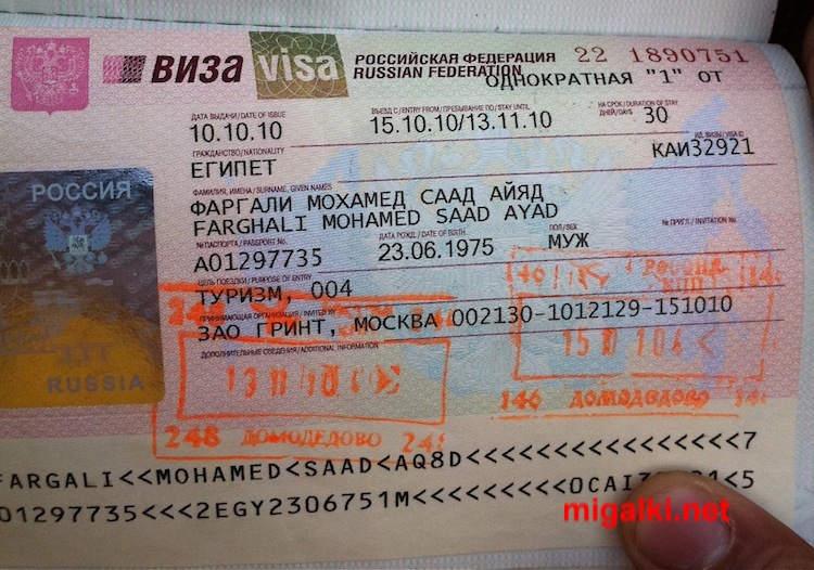 Виза куда. Номер визы РФ. Идентификатор Российской визы. Въездная виза в Россию. Российская виза образец.